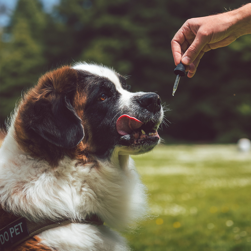 Superganix CBD Pet Oil 1000mg (Dogs + Cats)